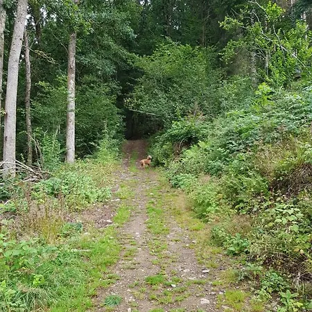 La Petite Romantique Martelange