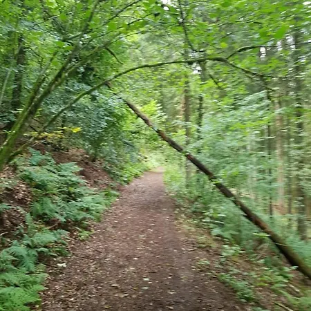 Appartement La Petite Romantique *