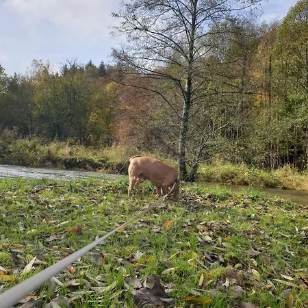 公寓 La Petite Romantique