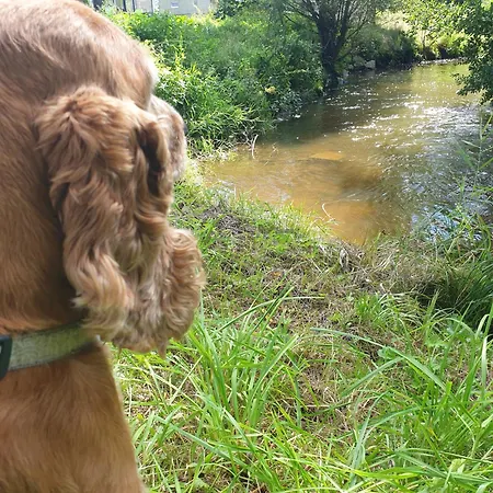 La Petite Romantique Appartement *