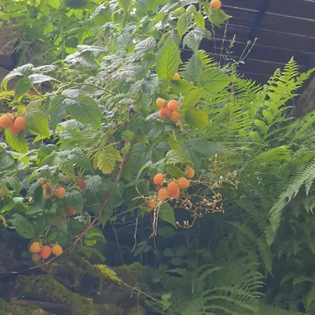 Apartmán La Petite Romantique